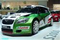 Autosalon Brno 2009 a závodní vozy objektivem Víti Klígla