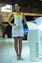 Autosalon Brno 2009 a kočičky objektivem Víti Klígla