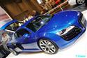 R8_01.jpg