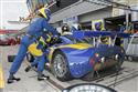 LMS na Silverstone 2009 a stříbrný Janiš se  Spykerem, foto BPA P.Frýba