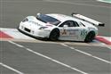 LMS - 1000 km ve Spa 2009 a stříbrní naši s Lambem, foto týmu P.Frýba