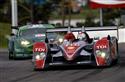 tz37tyden_02alms.jpg