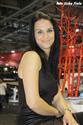 Girls na autosalonu Brno objektivem Jirky Fialy