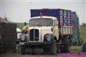 IMG_0203.jpg