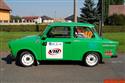 rally09.jpg