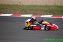 09cart.jpg