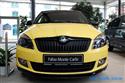 Škoda Fabia Monte Carlo 1.2 TSi 77kW,2011,foto Mirek Grusa