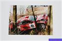 Vzpomínka na Tomáše Vojtěcha v rally,foto Mirek Grusa