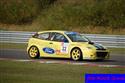 24tcc1div.jpg