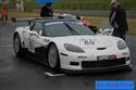 39tcc2div.jpg