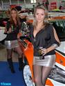Autosalon Brno 2010 a kočičky objektivem V. Klígla