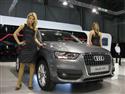 zm_16_VW-Audi.JPG