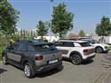 upr_16_Cactus_9-14.JPG