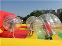 upr_21_Cactus_9-14.JPG