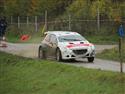 vyb_05_Waldv-11-14.JPG