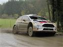 vyb_07_Waldv-11-14.JPG