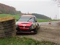 vyb_08_Waldv-11-14.JPG