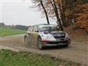 vyb_10_Waldv-11-14.JPG
