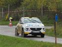 vyb_20_Waldv-11-14.jpg