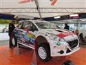 vyb_25_Waldv-11-14.JPG