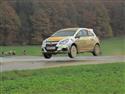 vyb_32_Waldv-11-14.JPG