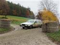 vyb_34_Waldv-11-14.JPG