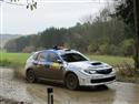 vyb_38_Waldv-11-14.jpg