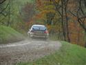 vyb_69_Waldv-11-14.JPG