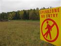 upr_10_Wald.JPG