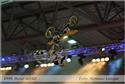 fmx_brno-002.jpg