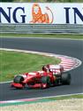 2009Hungaroring-F1 304_resize.jpg