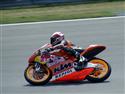2009_08140190_resize.jpg