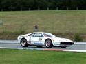 2009_0905FerrariDaysSobota0210_resize.jpg