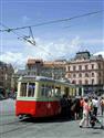 140 let MHD Brno 2009 050.jpg