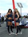 GT1 335_resize.jpg
