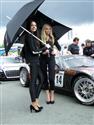 GT1 266_resize.jpg