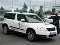 Česká Škoda na hokejovém MS v Německu 2010, foto  Jar. Mareček