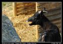 24h_kary_Modrice_09_023.jpg