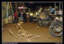 ArenaCross_Brno_09_016.jpg