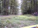 DSC00010.JPG