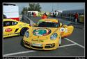 Porsche Cayman při FIA WTCC Brno 2008