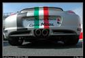 Cayman_Brno_08_006.jpg