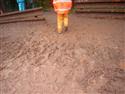 DSCN4416.JPG