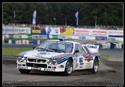 Rally Bohemia 2008,foto Pavel Douša