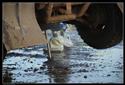 DAKAR 2008 716.jpg