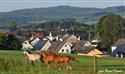 28_DEUTSCHLAND_2010_219.jpg
