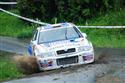 33_HORACKA_2009_057_DROTAR.jpg