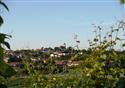 HUSTOPECE_2009_062.jpg