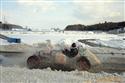 25_KOKORINSKO_2010_39.jpg