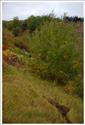 LAUSITZ_2007_havarie_Srb_006.jpg